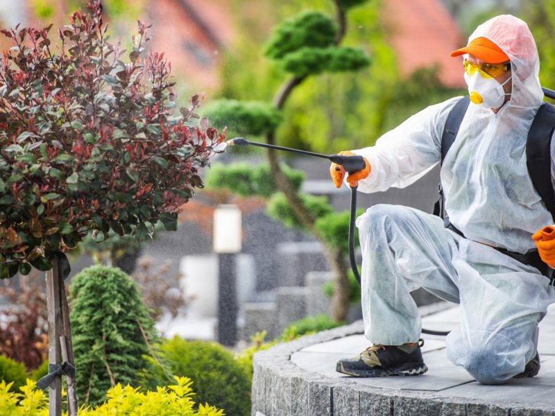 Şarkikaraağaç Haşere İlaçlama